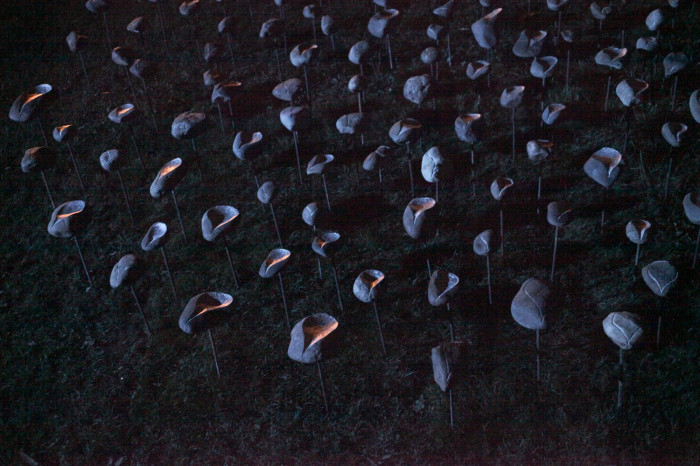 Sculptures – water & light – life