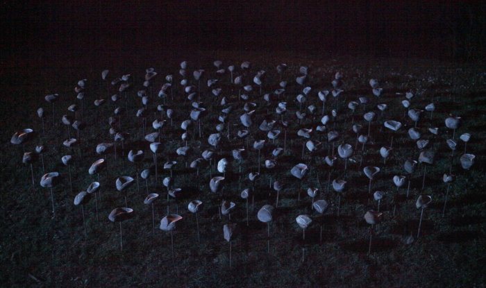 Sculptures – water & light – life