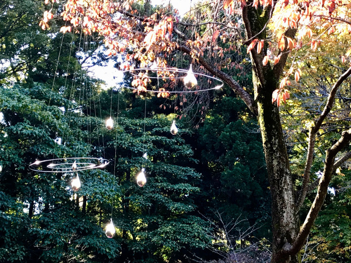 Sculptures – water & light – life