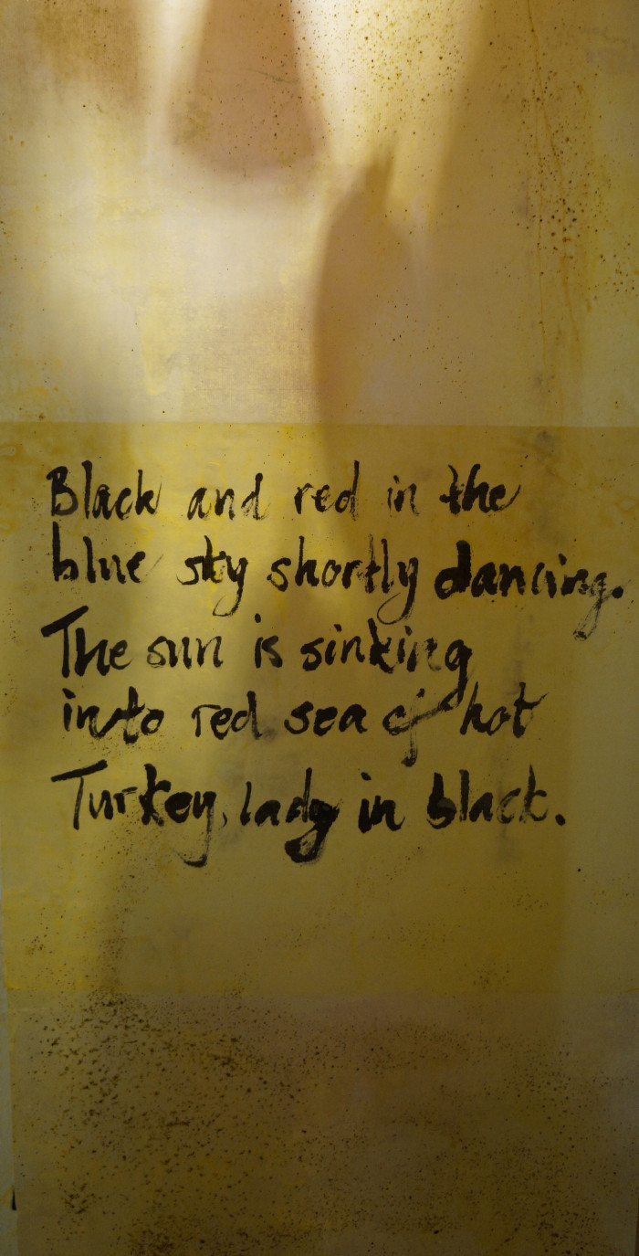 Installations – Salurinn Iceland &  In the shadow of blood – Yalova Biennale – Turkey – 2013