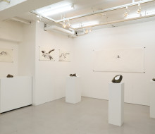 Japan – The Way of Drawing –  Tokyo –   2014