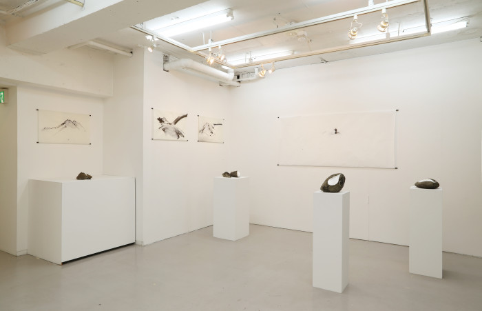 Japan – The Way of Drawing –  Tokyo –   2014